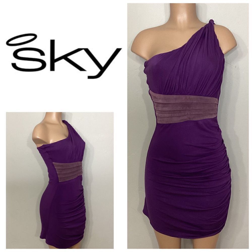 New. SKY purple Grecian style dress with leather. Normally $224